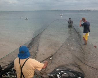 Est Fish Haul